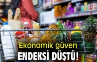 Ekonomiye güven mart ayında düştü