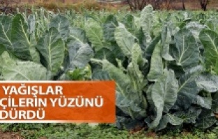 Son yağışlar çiftçilerin yüzünü güldürdü