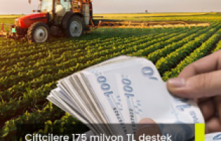 Çiftçilere 175 milyon TL destek