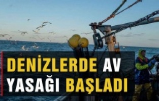 Denizlerde av yasağı bugün başladı