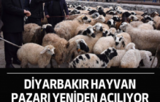 Diyarbakır hayvan pazarı yeniden açılıyor