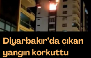 Diyarbakır’da çıkan yangın korkuttu