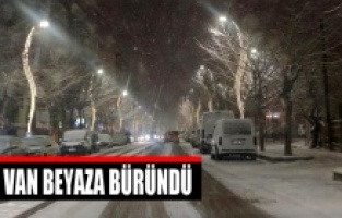 Van beyaza büründü