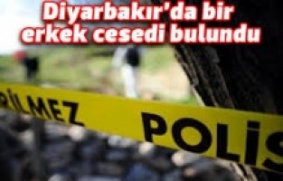 Diyarbakır'da ceset bulundu