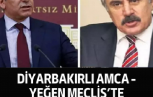 Diyarbakırlı amca - yeğen Meclis’te