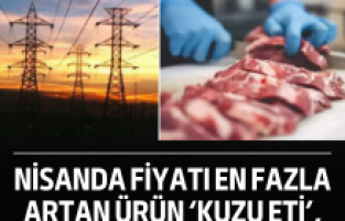 Nisanda fiyatı en fazla artan ürün ‘kuzu eti’, en fazla düşen ‘elektrik’ oldu