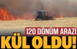 120 dönüm arazi kül oldu