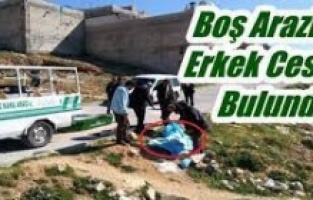 Boş arazide erkek cenazesi bulundu