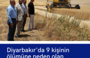 Diyarbakır'da 9 kişinin ölümüne neden olan tarlada hasat, barış heyeti gözetiminde başladı