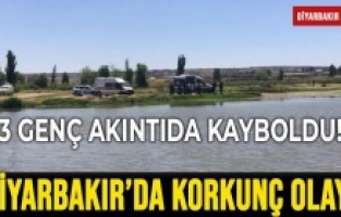 Diyarbakır'da Dicle Nehrine giren 3 çocuk kayıp