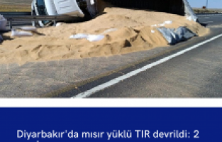 Diyarbakır'da mısır yüklü TIR devrildi: 2 yaralı
