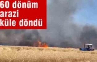Diyarbakır’da 60 dönüm ekili arazi küle döndü