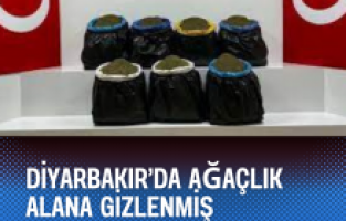 Diyarbakır’da ağaçlık alana gizlenmiş uyuşturucu bulundu