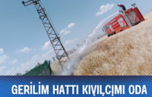 Gerilim hattı kıvılcımı oda başkanının arazisini yaktı