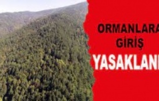 Ormanlık alanlara girişler yasaklandı