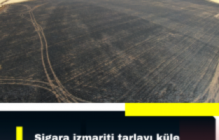 Sigara izmariti tarlayı küle çevirdi
