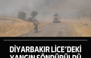 Diyarbakır Lice’deki yangın söndürüldü