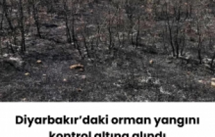 Diyarbakır’daki orman yangını kontrol altına alındı
