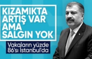 Fahrettin Koca: Kızamık vakalarının yüzde 86'sı İstanbul'da