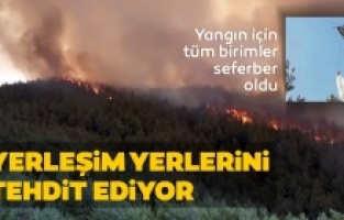 Hatay'da yerleşim yerine yakın orman yangını