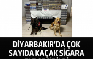 Diyarbakır'da çok sayıda kaçak sigara ele geçirildi