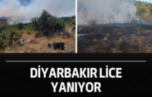 Diyarbakır Lice yanıyor