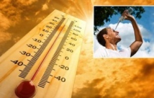 Sıcak hava dalgasıyla başa çıkmanın 4 bilimsel yolu