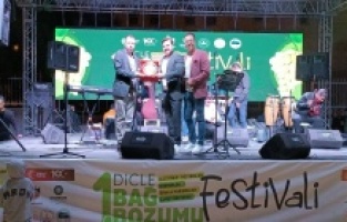 Diyarbakır'da 2 gün süren bağ bozumu festivali konserlerle tamamlandı