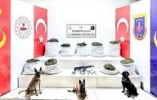 Diyarbakır'da 364 kilo uyuşturucu yakalandı