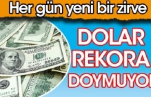 Dolar rekora doymuyor