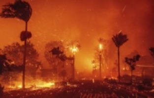 Kaliforniya küle döndü...