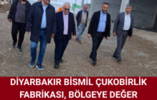 Diyarbakır Bismil Çukobirlik Fabrikası, Bölgeye Değer Katacak