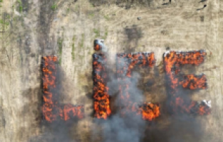 Diyarbakır’da yakılan 20 ton uyuşturucu dumanından 25 bin kişi etkilendi