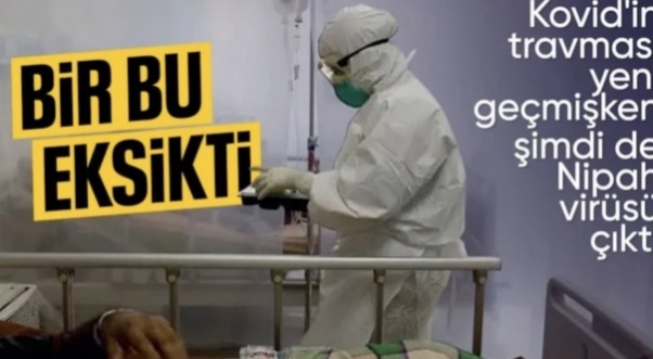 Hindistan'da görüldü: Nipah virüsü yayılıyor mu