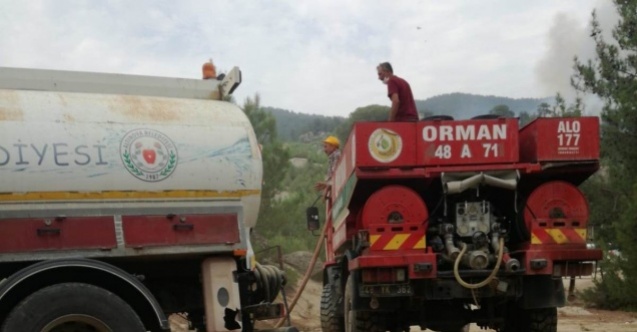 Altınova ekibi yangın bölgesinde