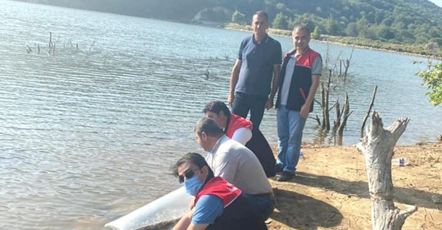 Erdek’te Yapıcı göletine sazan balığı salındı