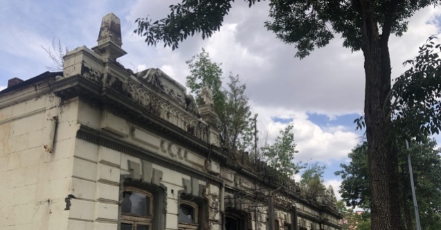 Sahipsiz kalan tarihi binanın duvarında ağaç yetişti