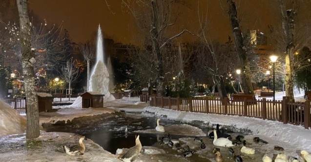 Ankara’nın simge yeri Mogan gölü buz tuttu