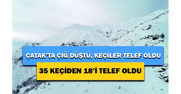 Çatak'ta çığ düştü, 18 keçi telef oldu