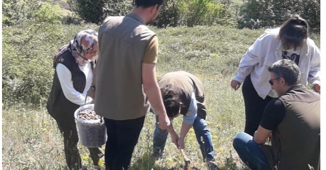 Salep soğanı toplayan 4 kişiye 438 bin lira ceza