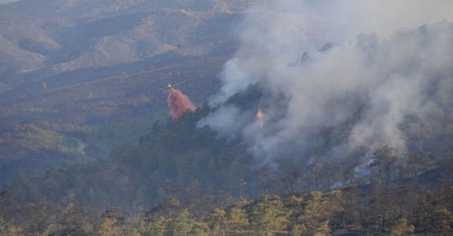 Dehşete düşüren cani ne kadar ceza alacak?