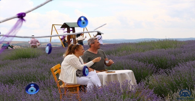 Tekirdağ Lavanta Günleri Başlıyor!!!