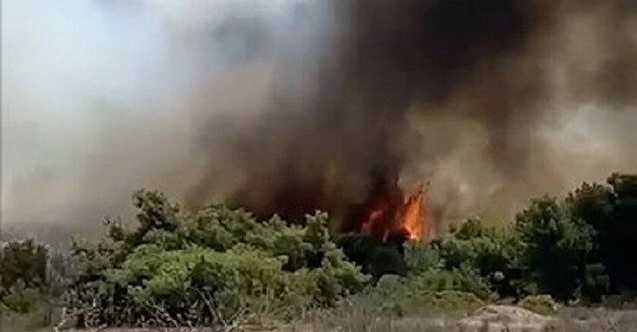 Antalya'da korkutan orman yangını!