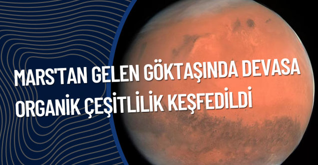 Mars'tan gelen göktaşında devasa organik çeşitlilik keşfedildi
