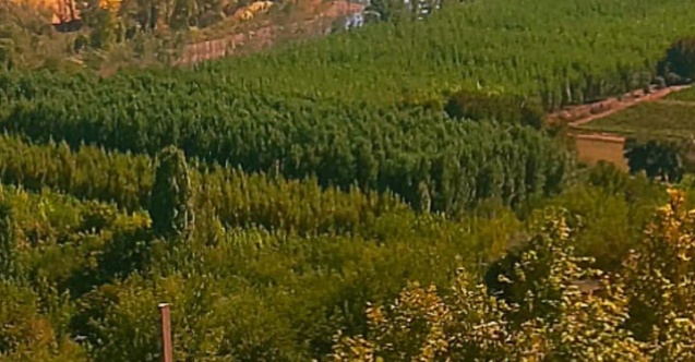 Diyarbakır’da Zaman