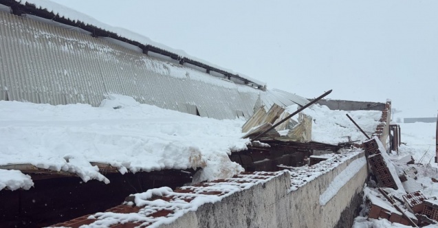 Diyarbakır'da ahır çöktü, 11 büyükbaş telef oldu