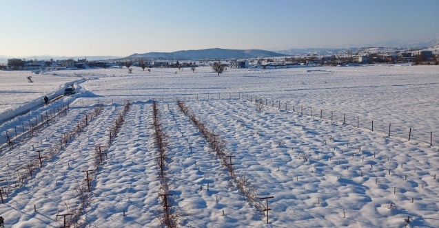Diyarbakır'da kar yağışı çiftçiye umut oldu