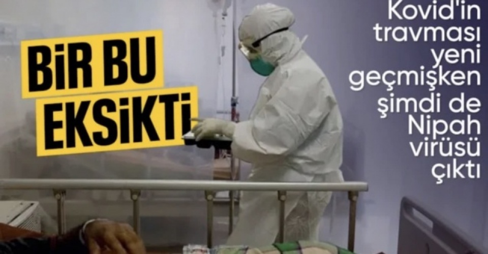 Hindistan'da görüldü: Nipah virüsü yayılıyor mu